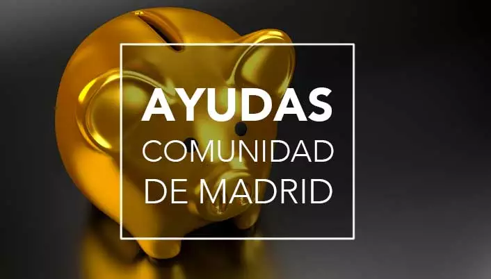 subvenciones Comunidad Madrid